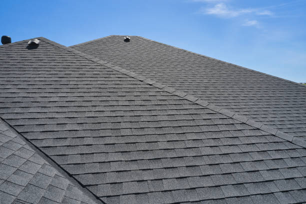 Best Roof Moss and Algae Removal  in Bellemont, AZ