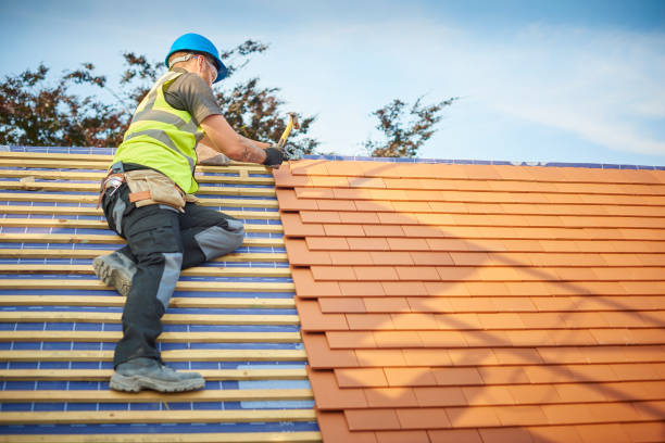 Best Asphalt Shingle Roofing  in Bellemont, AZ